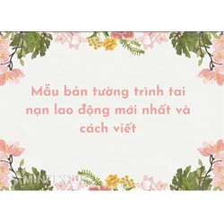 Mẫu bản tường trình tai nạn lao động mới nhất và cách viết