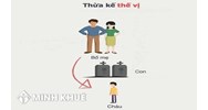 Con nuôi, con riêng có được hưởng thừa kế thế vị không?