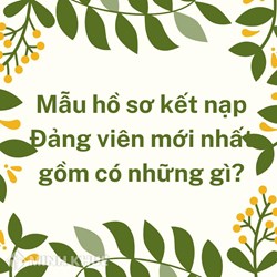 Mẫu hồ sơ kết nạp Đảng viên mới nhất gồm có những gì?