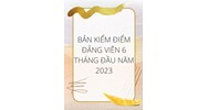 Mẫu Phiếu Xác Nhận Đảng Viên 6 Tháng Đầu Năm 2023 Mới Nhất