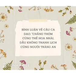 Bình luận về câu ca dao “Chẳng thơm cũng thể hoa nhài, dẫu không thanh lịch cũng người Tràng An”