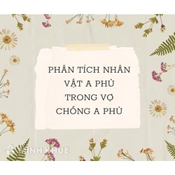 Phân tích nhân vật A Phủ trong Vợ chồng A Phủ chọn lọc hay nhất