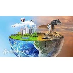 Nêu ra vài hiện trạng và nguyên nhân gây thiệt hại môi trường ở khu vực em tham quan