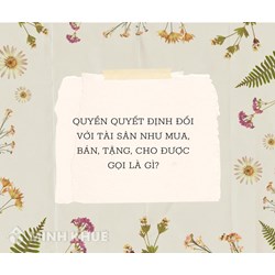 Quyền quyết định đối với tài sản như mua, bán, tặng, cho được gọi là?