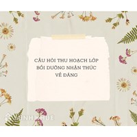 Câu hỏi thu hoạch lớp bồi dưỡng nhận thức về Đảng mới nhất