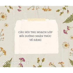Câu hỏi thu hoạch lớp bồi dưỡng nhận thức về Đảng mới nhất