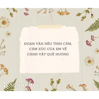 Đoạn văn nêu tình cảm, cảm xúc của em về cảnh vật quê hương hay nhất