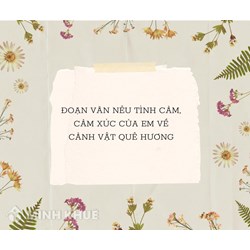 Đoạn văn nêu tình cảm, cảm xúc của em về cảnh vật quê hương hay nhất