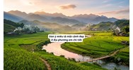 Dàn ý miêu tả một cảnh đẹp ở địa phương em chi tiết, hay nhất