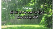Mở bài tả cơn mưa rào lớp 5 chọn lọc hay nhất