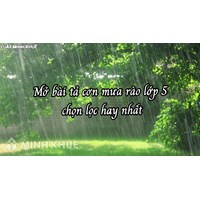 Mở bài tả cơn mưa rào lớp 5 chọn lọc hay nhất