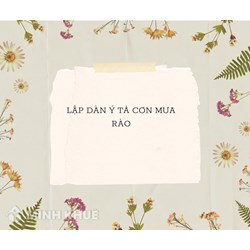 Lập dàn ý tả cơn mưa rào lớp 5 chi tiết, hay nhất