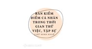 Mẫu bản kiểm điểm cá nhân trong thời gian thử việc, tập sự