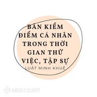Mẫu bản kiểm điểm cá nhân trong thời gian thử việc, tập sự