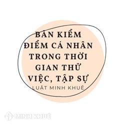 Mẫu bản kiểm điểm cá nhân trong thời gian thử việc, tập sự