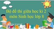 Đề thi giữa học kì 2 môn Sinh học lớp 8 có đáp án chọn lọc mới nhất