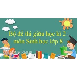 Đề thi giữa học kì 2 môn Sinh học lớp 8 có đáp án chọn lọc mới nhất
