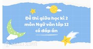 Đề thi giữa học kì 2 môn Ngữ văn lớp 12 có đáp án chi tiết