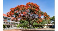 Mẫu biên bản bàn giao cơ sở vật chất trường học, lớp học mới nhất