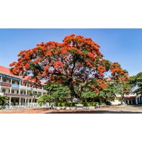 Mẫu biên bản bàn giao cơ sở vật chất trường học, lớp học mới nhất