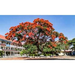 Mẫu biên bản bàn giao cơ sở vật chất trường học, lớp học mới nhất
