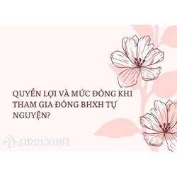 Quyền lợi và Mức đóng khi tham gia đóng BHXH tự nguyện?