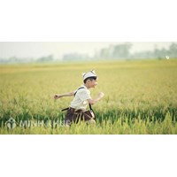 Đề thi giữa kì 2 môn Tiếng Việt lớp 2 có đáp án mới nhất