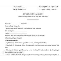 Mẫu bản kiểm điểm Đảng viên cuối năm 2024 của Tổng phụ trách