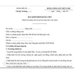 Mẫu bản kiểm điểm Đảng viên cuối năm 2024 của Tổng phụ trách