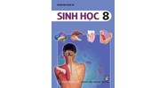 Đề thi giữa học kì 2 môn Sinh học lớp 8 có đáp án chi tiết