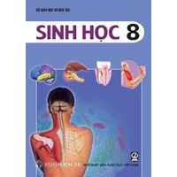 Đề thi giữa học kì 2 môn Sinh học lớp 8 có đáp án chi tiết