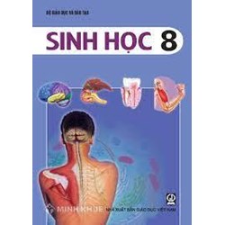 Đề thi giữa học kì 2 môn Sinh học lớp 8 có đáp án chi tiết