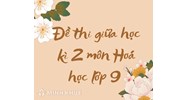 Đề thi giữa học kì 2 môn Hóa học lớp 9 có đáp án