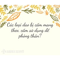 Các loại dao bị cấm mang theo, cấm sử dụng để phòng thân?