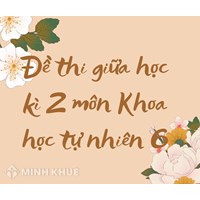 Đề thi giữa học kì 2 môn Khoa học tự nhiên 6 sách Chân trời sáng tạo có đáp án