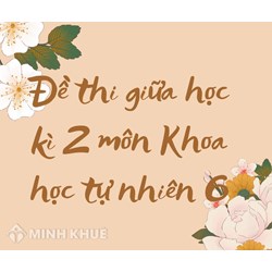 Đề thi giữa học kì 2 môn Khoa học tự nhiên 6 sách Chân trời sáng tạo có đáp án