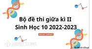 Đề thi giữa học kì 2 môn Sinh học lớp 10 có đáp án