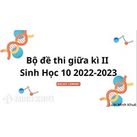 Đề thi giữa học kì 2 môn Sinh học lớp 10 có đáp án