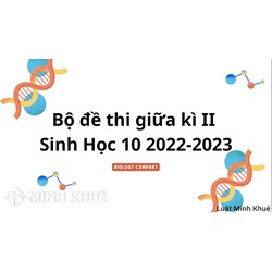 Đề thi giữa học kì 2 môn Sinh học lớp 10 có đáp án