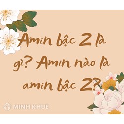 Amin bậc 2 là gì? Amin nào sau đây là amin bậc 2?