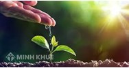 Giải thích câu tục ngữ Uống nước nhớ nguồn chọn lọc hay nhất