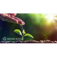 Giải thích câu tục ngữ Uống nước nhớ nguồn chọn lọc hay nhất
