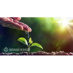 Giải thích câu tục ngữ Uống nước nhớ nguồn chọn lọc hay nhất
