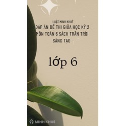 Đề thi giữa học kì 2 môn Toán 6 sách Chân trời sáng tạo có đáp án