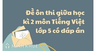 Đề ôn thi giữa học kì 2 môn Tiếng Việt lớp 5 chi tiết