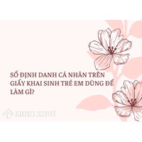 Số định danh cá nhân trên giấy khai sinh trẻ em dùng để làm gì?