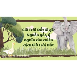Giờ Trái Đất là gì? Nguồn gốc, ý nghĩa của chiến dịch Giờ Trái Đất