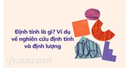 Định tính là gì? Ví dụ về nghiên cứu định tính và định lượng