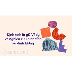 Định tính là gì? Ví dụ về nghiên cứu định tính và định lượng