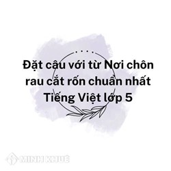 Đặt câu với từ Nơi chôn rau cắt rốn chuẩn nhất Tiếng Việt lớp 5